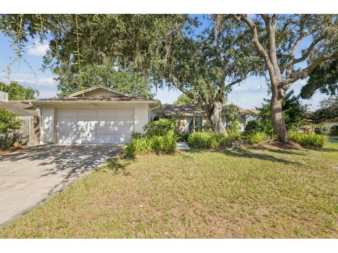 12512 Sugar Pine Way Tampa FL 33624 TB8414748 image4