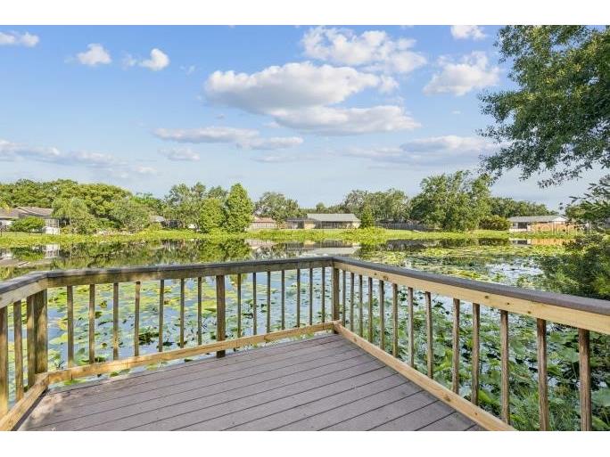 12512 Sugar Pine Way Tampa FL 33624 TB8414748 image40