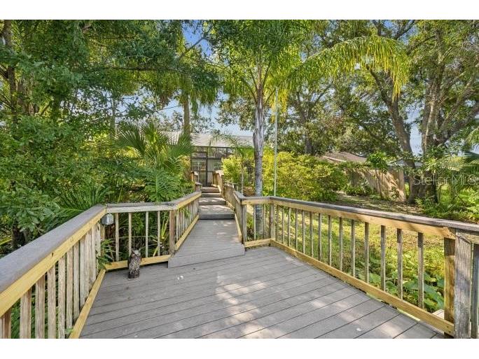 12512 Sugar Pine Way Tampa FL 33624 TB8414748 image41