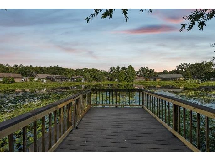 12512 Sugar Pine Way Tampa FL 33624 TB8414748 image42