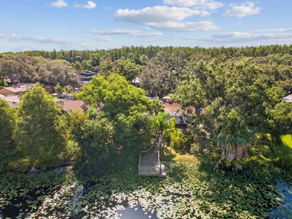 12512 Sugar Pine Way Tampa FL 33624 TB8414748 image43