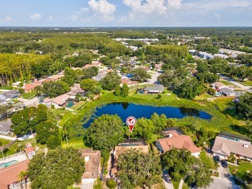 12512 Sugar Pine Way Tampa FL 33624 TB8414748 image44