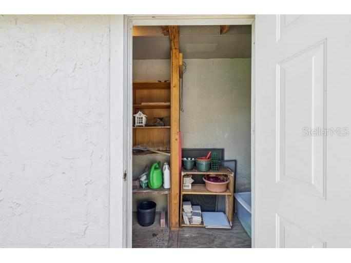 12512 Sugar Pine Way Tampa FL 33624 TB8414748 image47