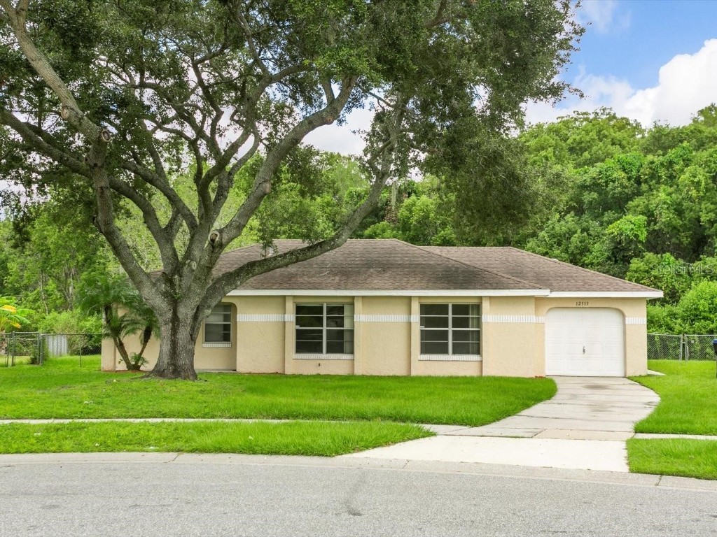 12513 Indiana Woods Lane Orlando FL 32824 S5124571 image1