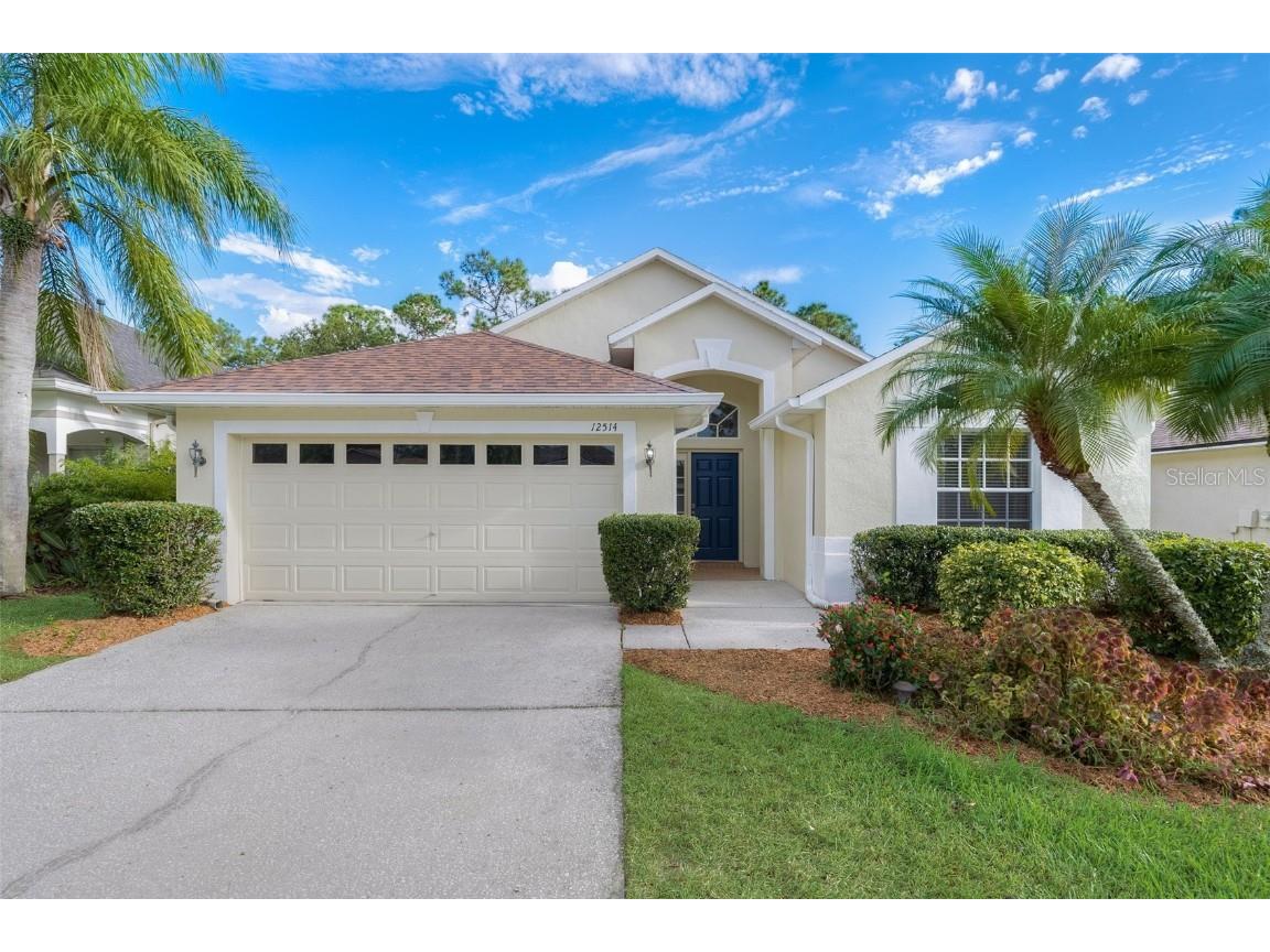 12514 Blazing Star Drive Tampa FL 33626 T3477862 image1