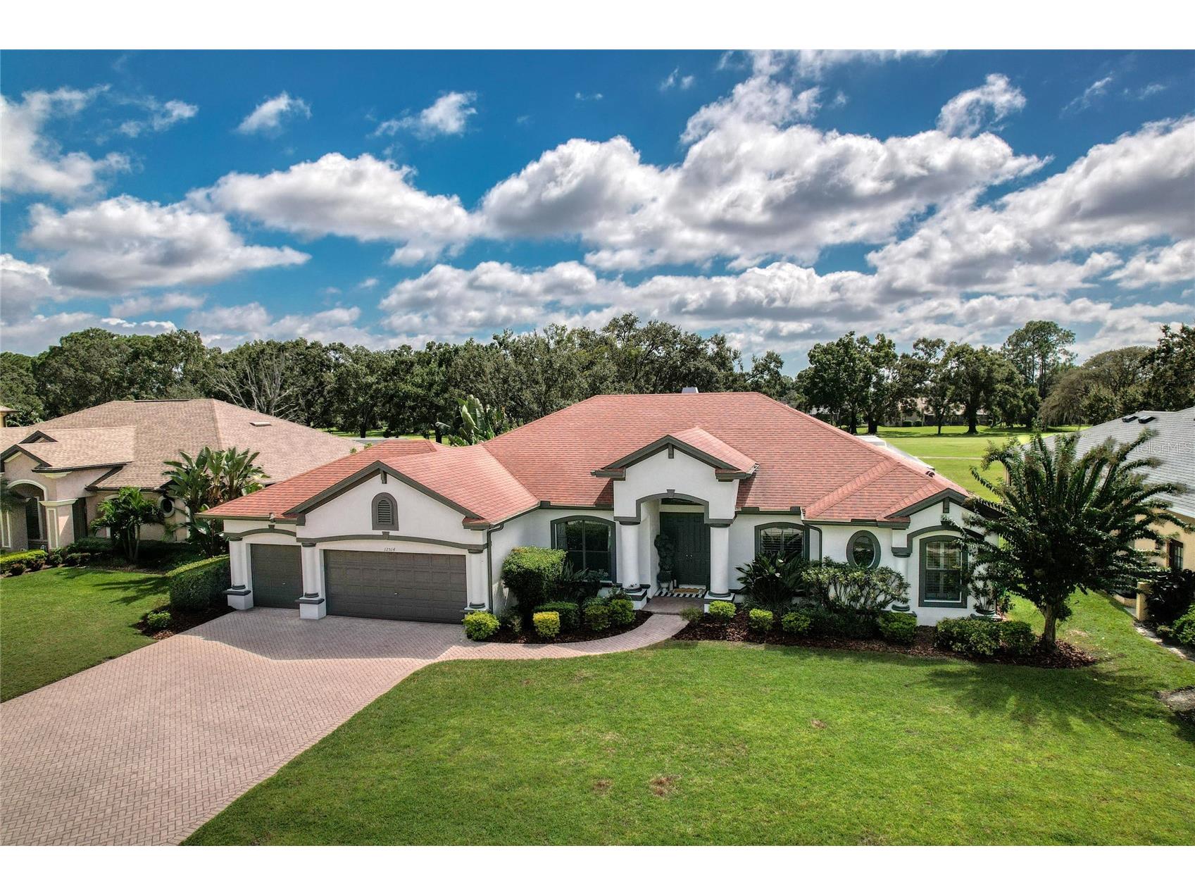 12514 Eagles Entry Drive Odessa FL 33556 TB8418857 image1