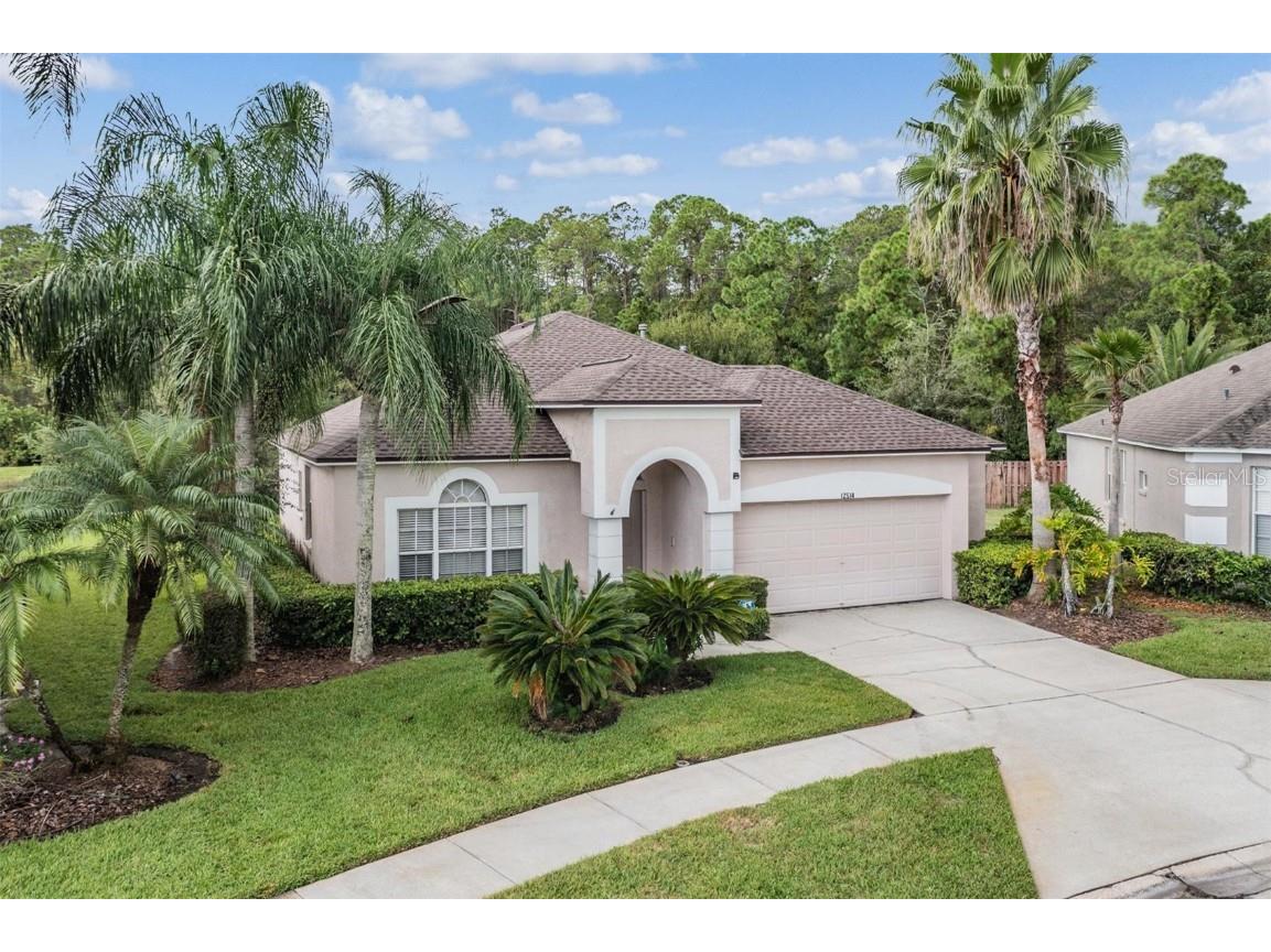 12514 Loquat Way Tampa FL 33626 T3473416 image1