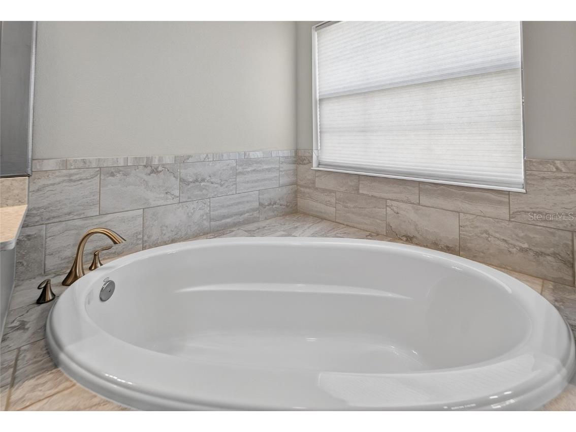 12514 Wild Berry Trail Odessa FL 33556 TB8432891 image37