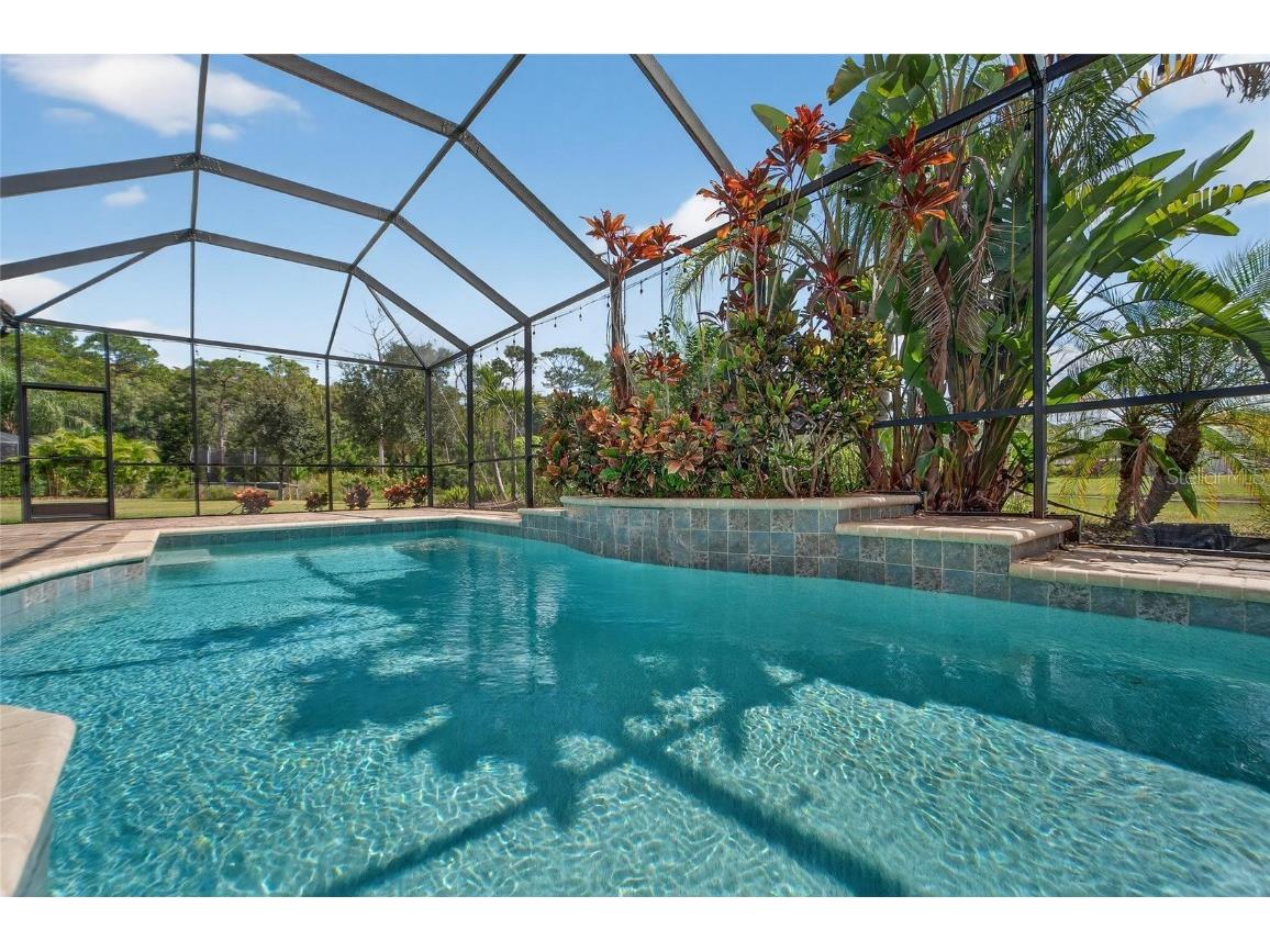 12514 Wild Berry Trail Odessa FL 33556 TB8432891 image68