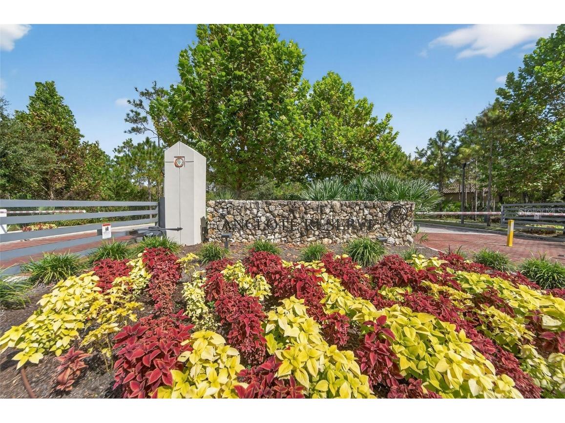 12514 Wild Berry Trail Odessa FL 33556 TB8432891 image70