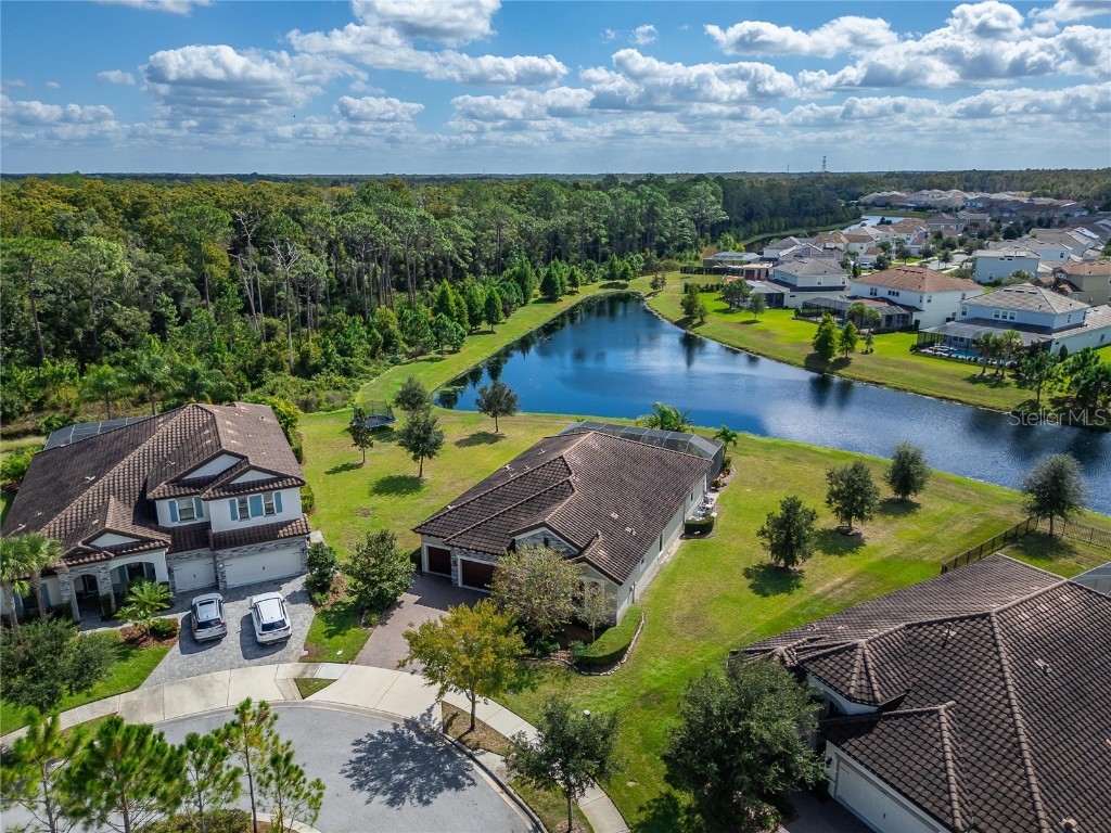 12514 Wild Berry Trail Odessa FL 33556 TB8432891 image72