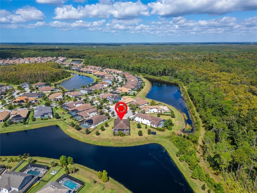 12514 Wild Berry Trail Odessa FL 33556 TB8432891 image74