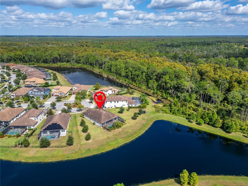 12514 Wild Berry Trail Odessa FL 33556 TB8432891 image76