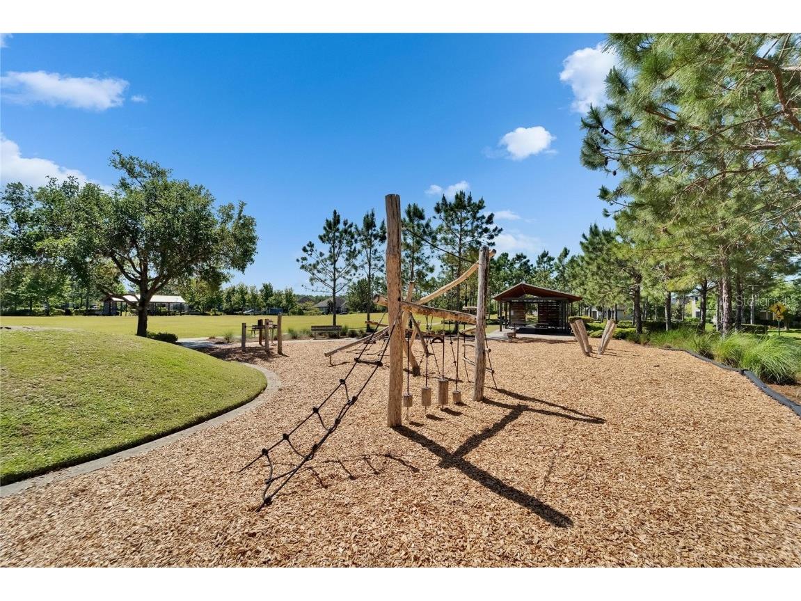 12514 Wild Berry Trail Odessa FL 33556 TB8432891 image77