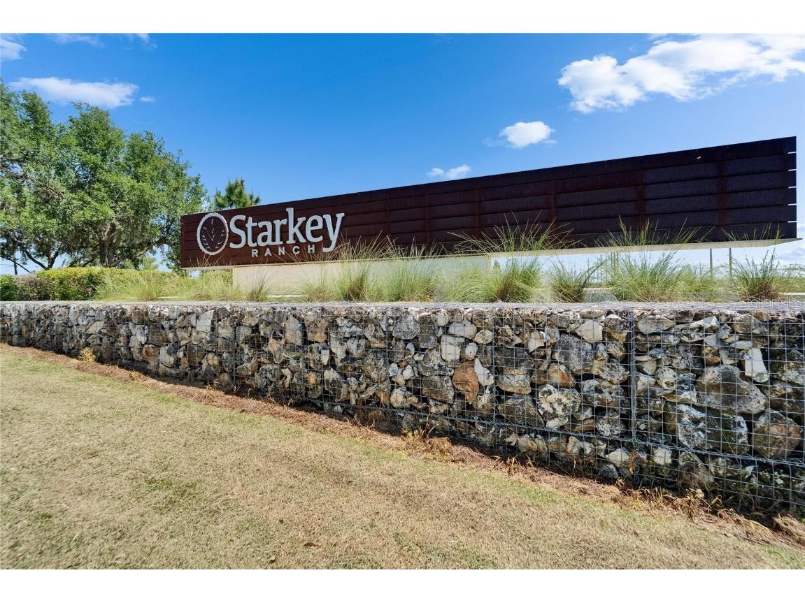 12514 Wild Berry Trail Odessa FL 33556 TB8432891 image81