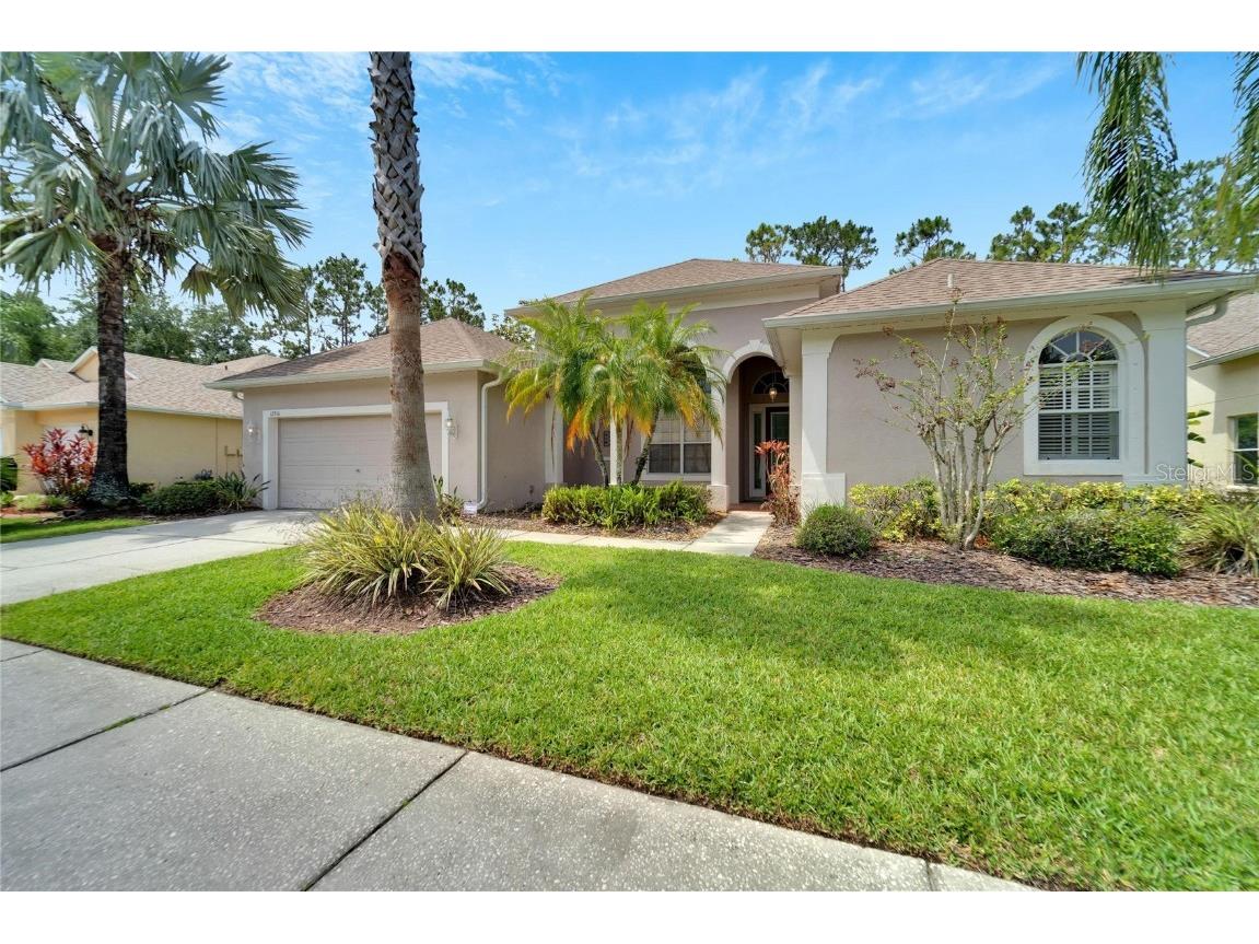 12516 Leatherleaf Drive Tampa FL 33626 T3444825 image1