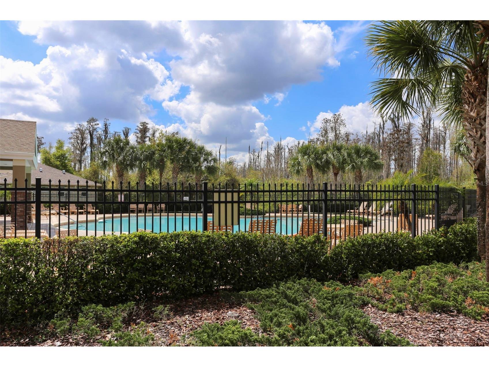 12516 Saulston Place Hudson FL 34669 TB8514693 image61