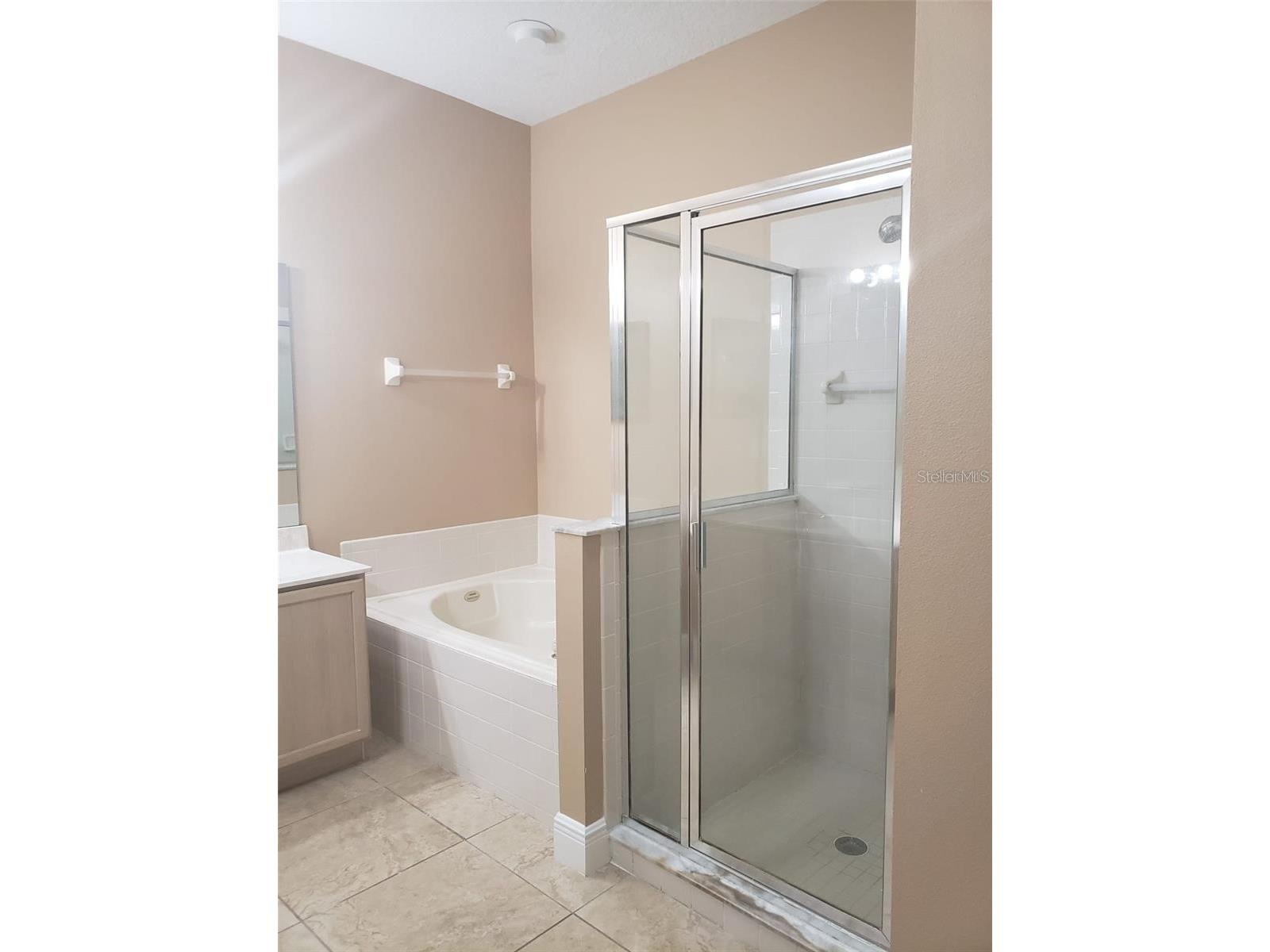 12517 Beacontree Way Orlando FL 32837 S5150147 image21