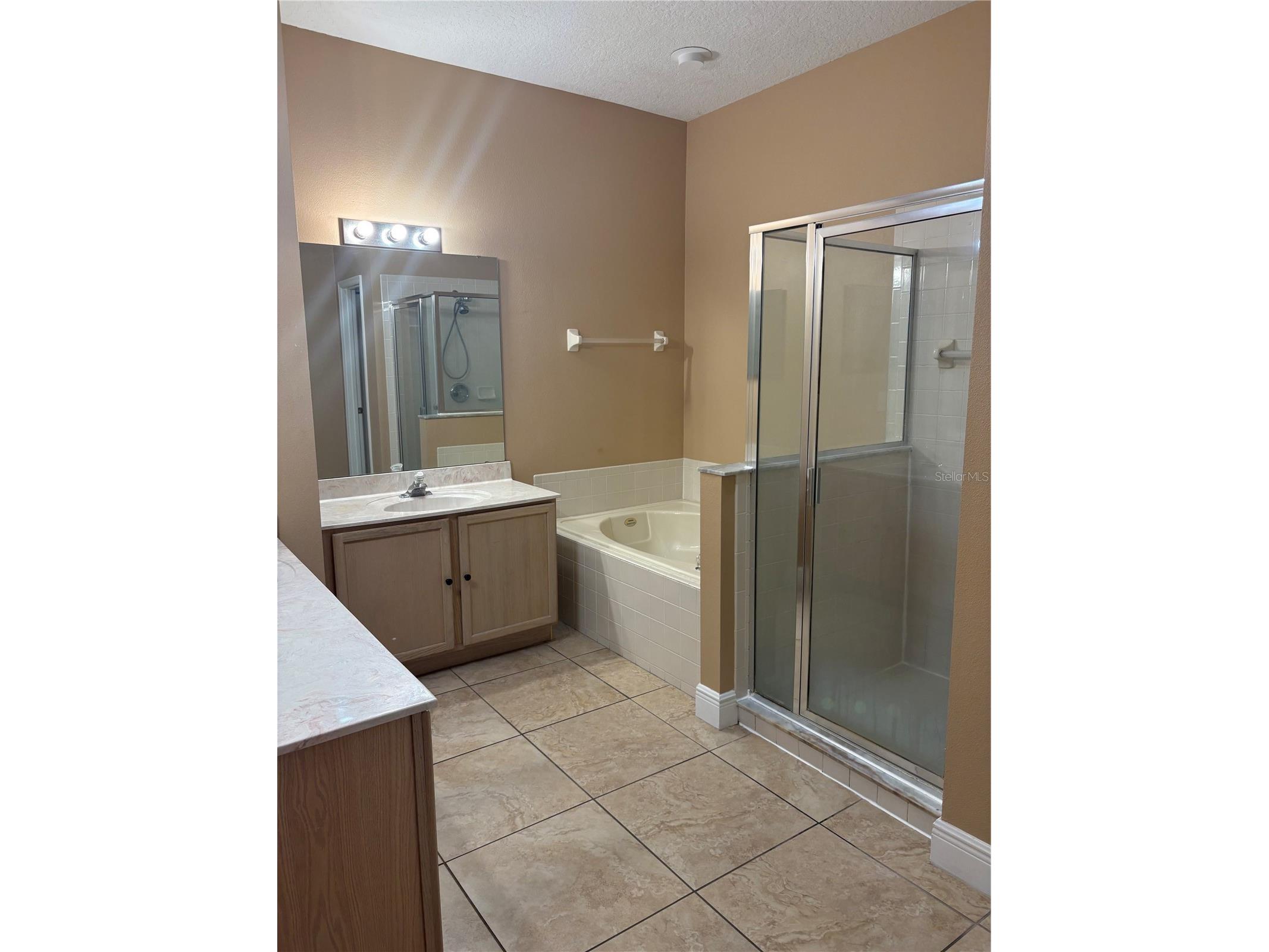 12517 Beacontree Way Orlando FL 32837 S5150147 image25