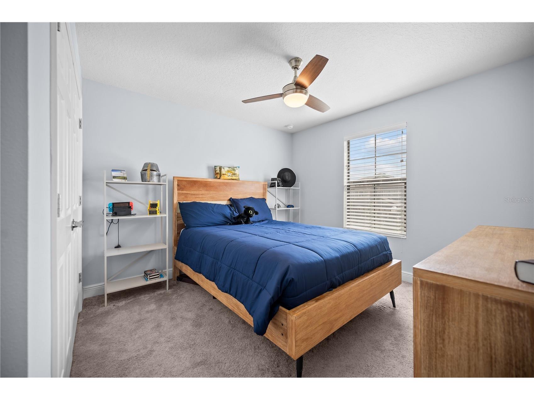 12517 Horseshoe Bend Drive Lithia FL 33547 TB8483130 image29