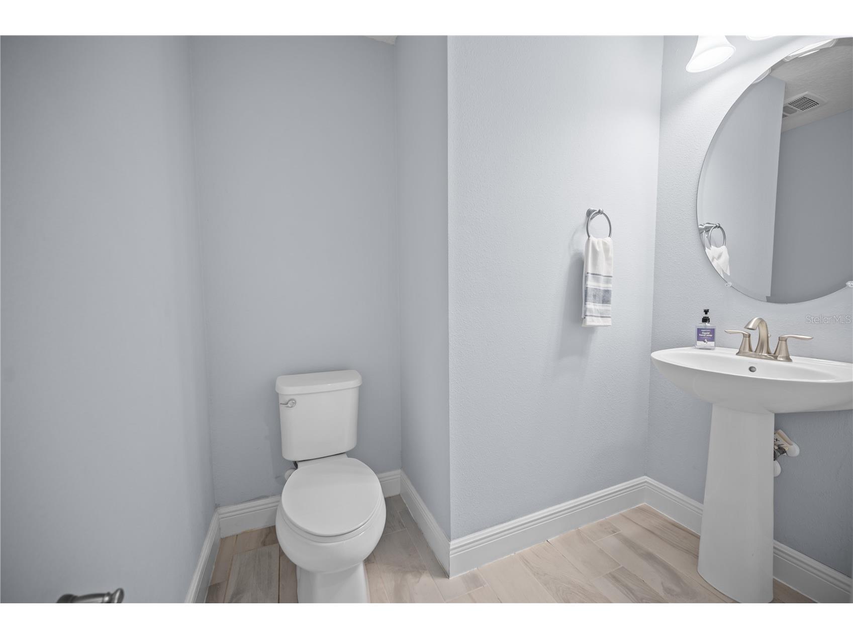 12517 Horseshoe Bend Drive Lithia FL 33547 TB8483130 image8