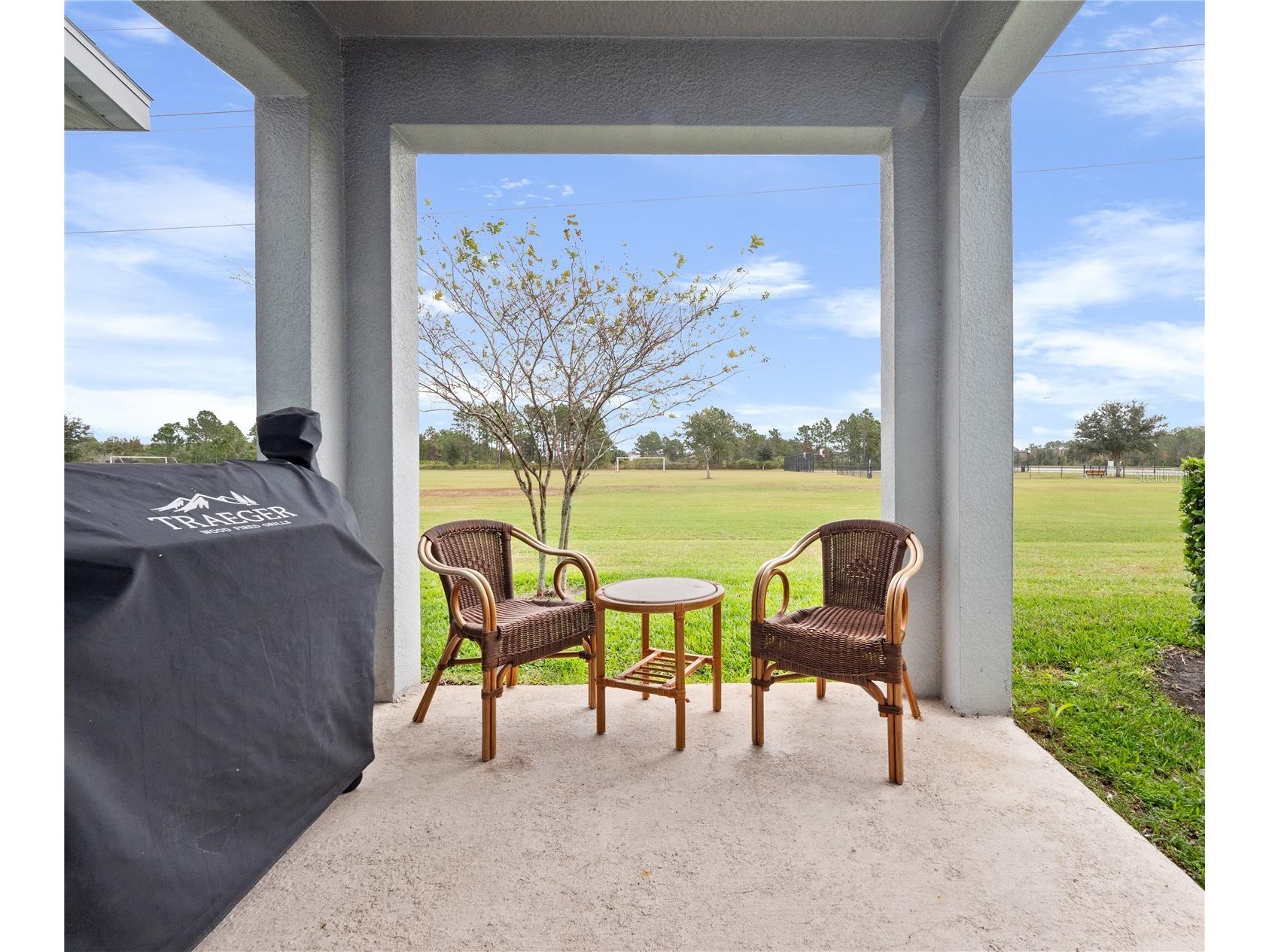 12517 Turtle Grass Drive Orlando FL 32824 O6371264 image22