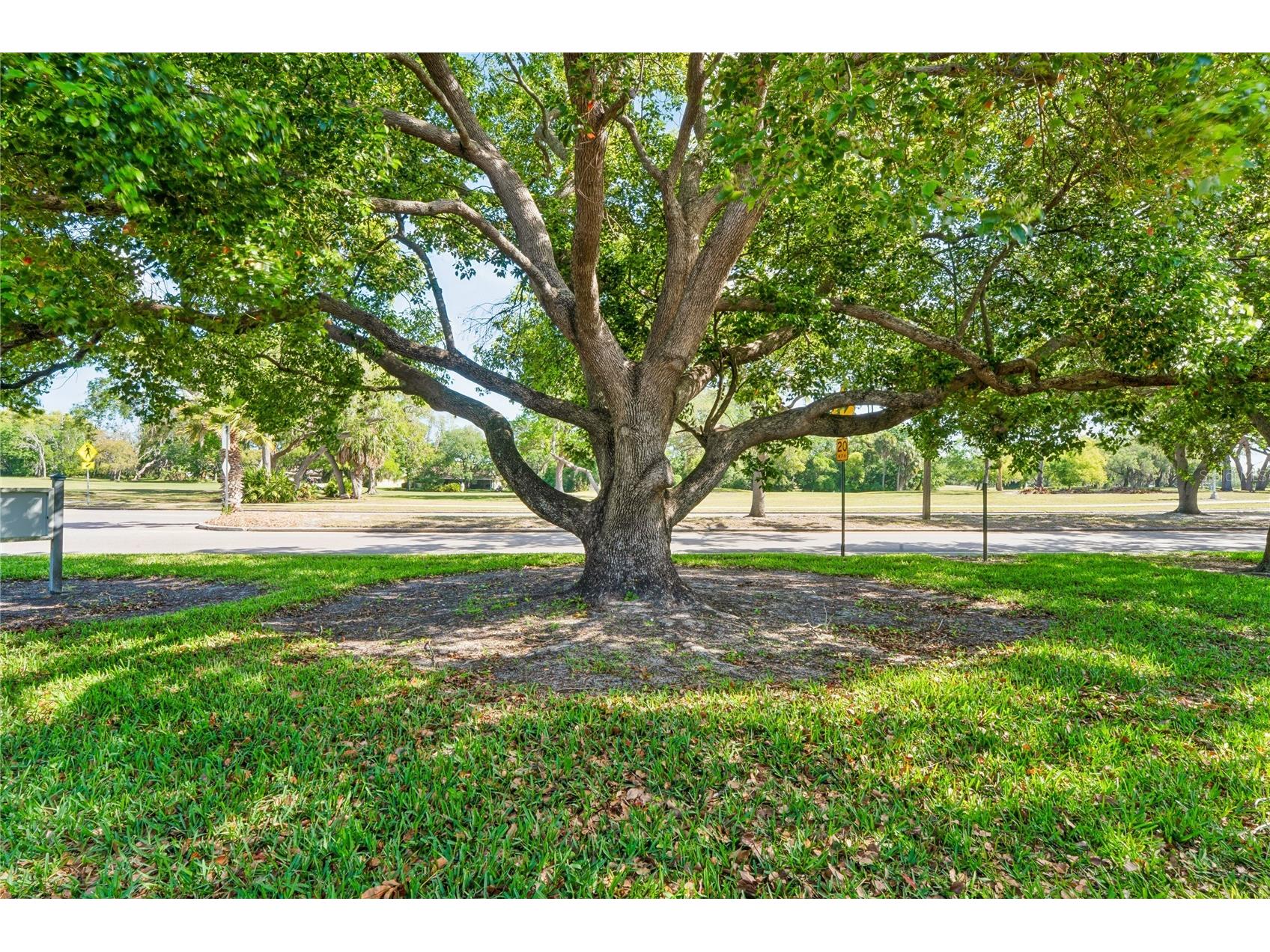 12518 Dearborn Drive #12518 Hudson FL 34667 W7884600 image36