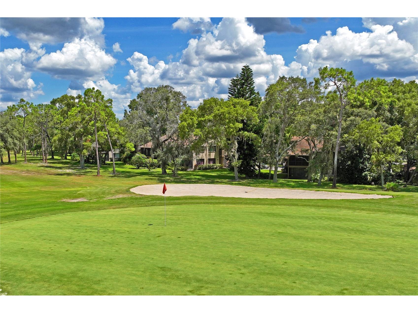 12518 Dearborn Drive #12518 Hudson FL 34667 W7884600 image37