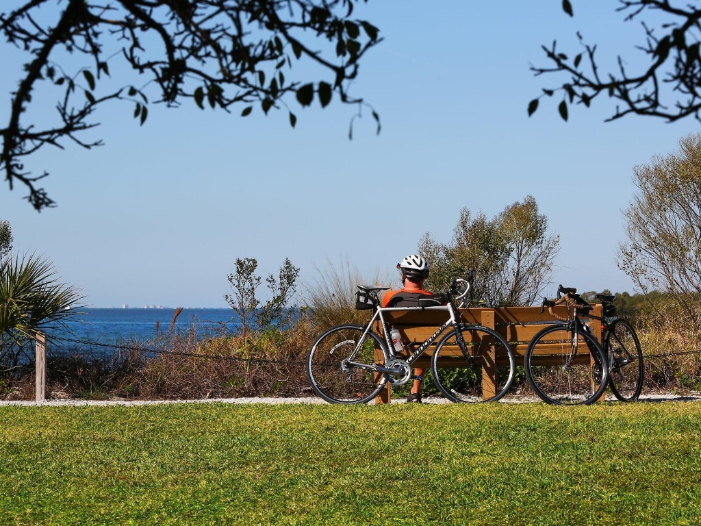 12518 Harbour Landings Drive Cortez FL 34215 A4671847 image59