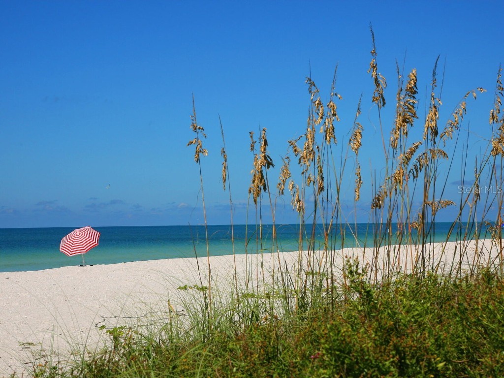 12518 Harbour Landings Drive Cortez FL 34215 A4671847 image61