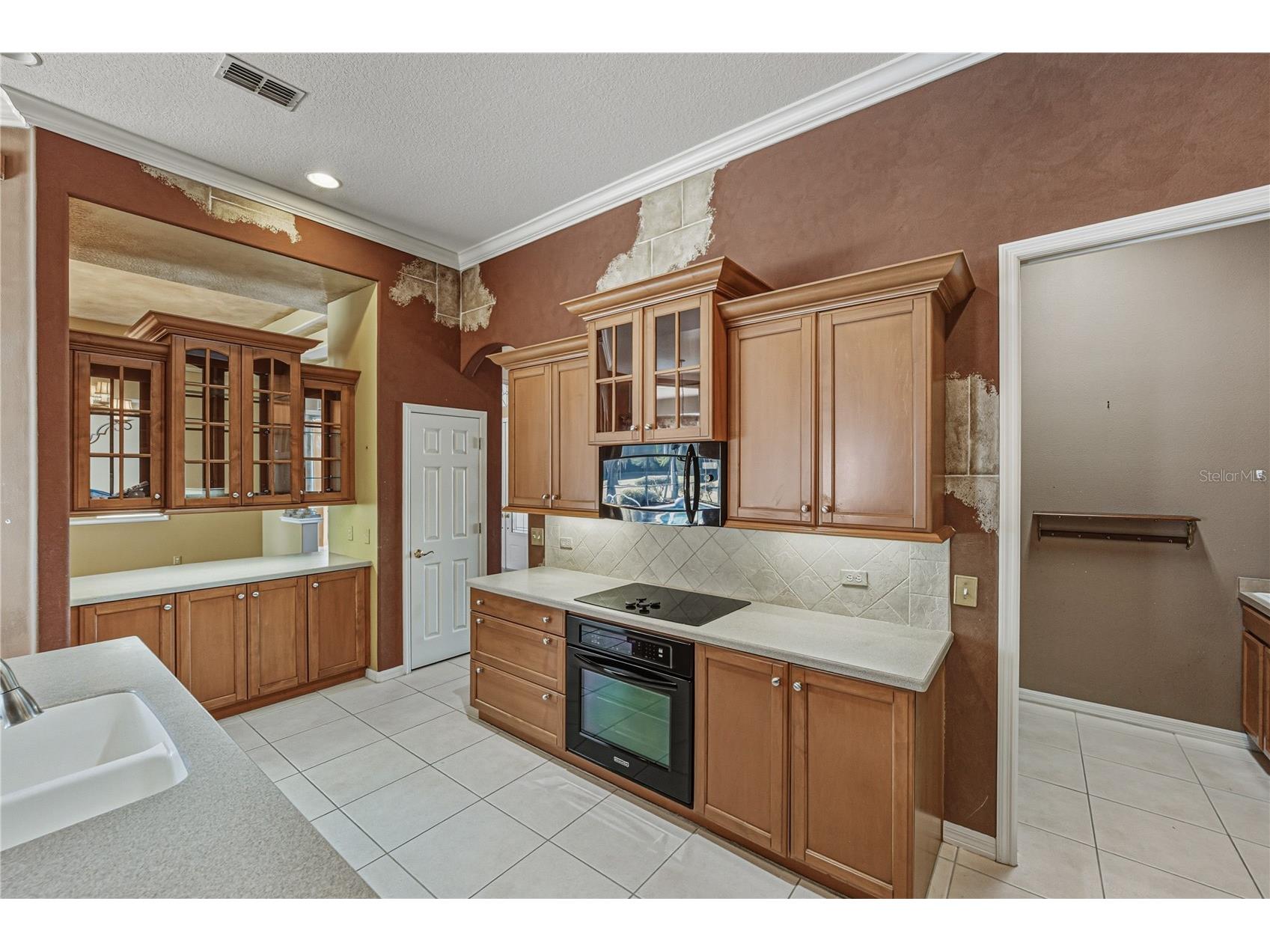 12518 Lake Jovita Boulevard Dade City FL 33525 TB8469947 image22