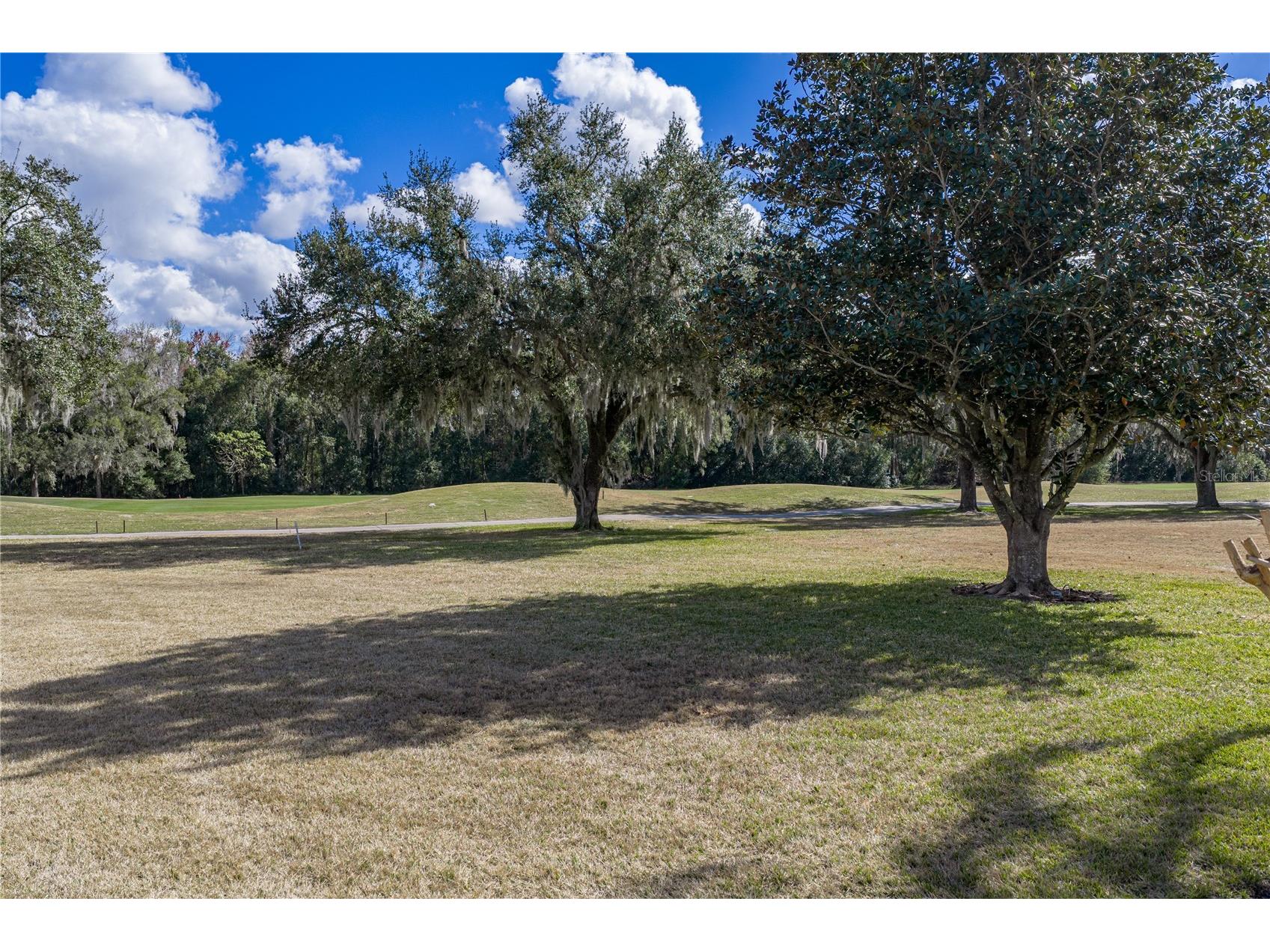 12518 Lake Jovita Boulevard Dade City FL 33525 TB8469947 image74