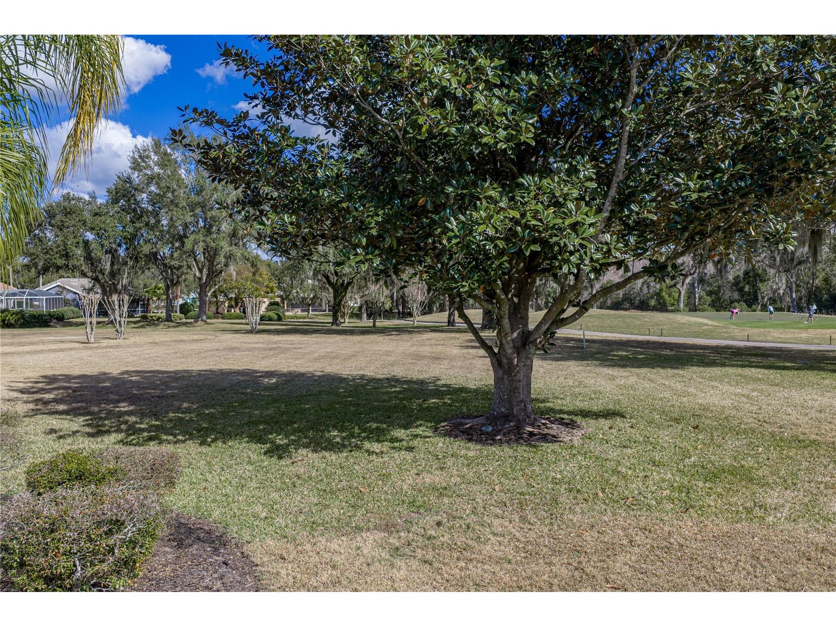 12518 Lake Jovita Boulevard Dade City FL 33525 TB8469947 image75