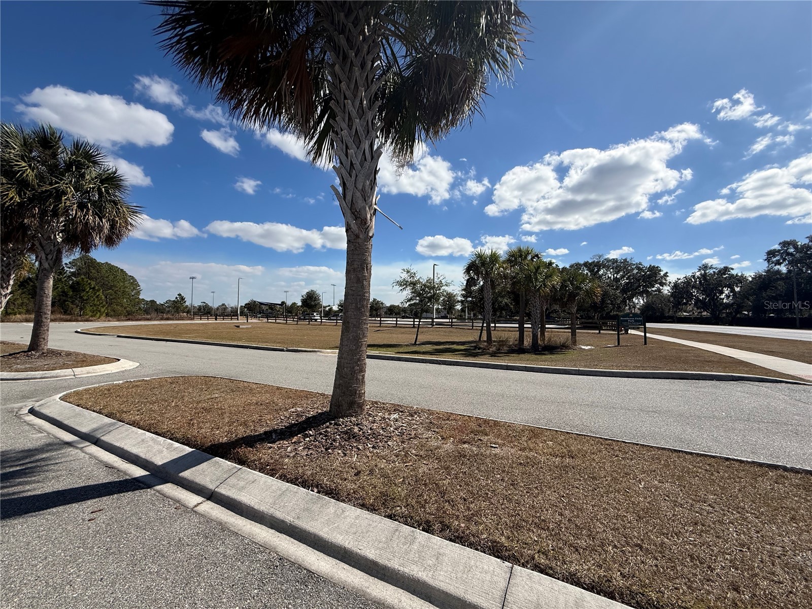 12518 S Lake Mary Jane Road Orlando FL 32832 - LAKE MARY JANE G5107736 image33