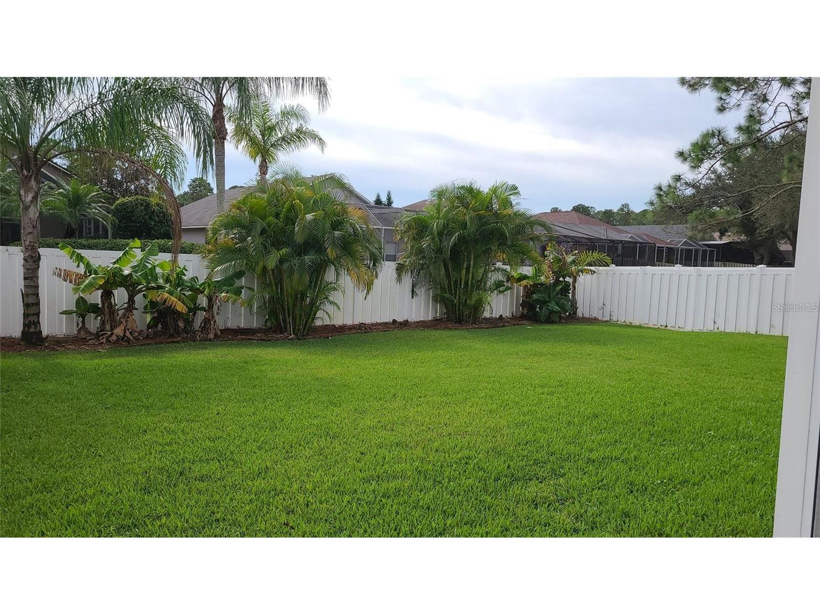 12518 Sparkleberry Road Tampa FL 33626 TB8507599 image22