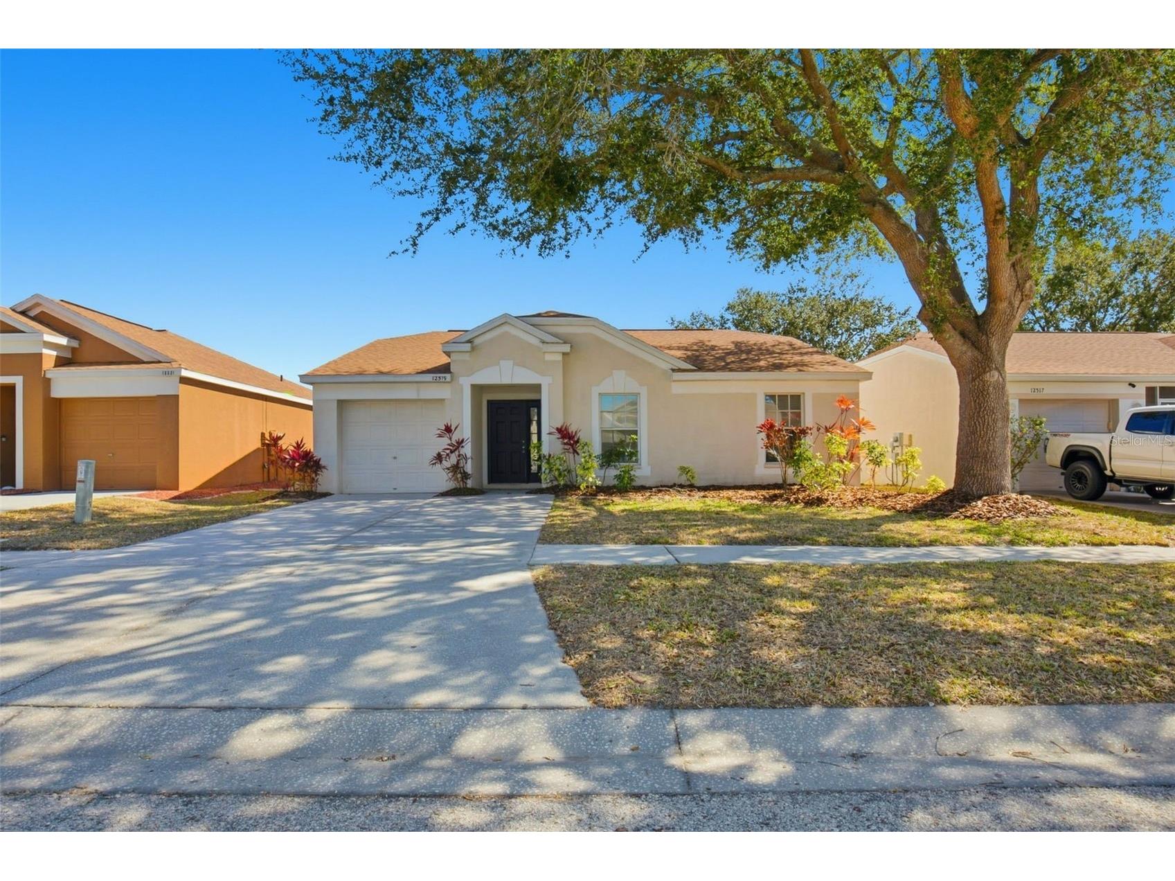 12519 Dawn Vista Drive Riverview FL 33578 O6379553 image1