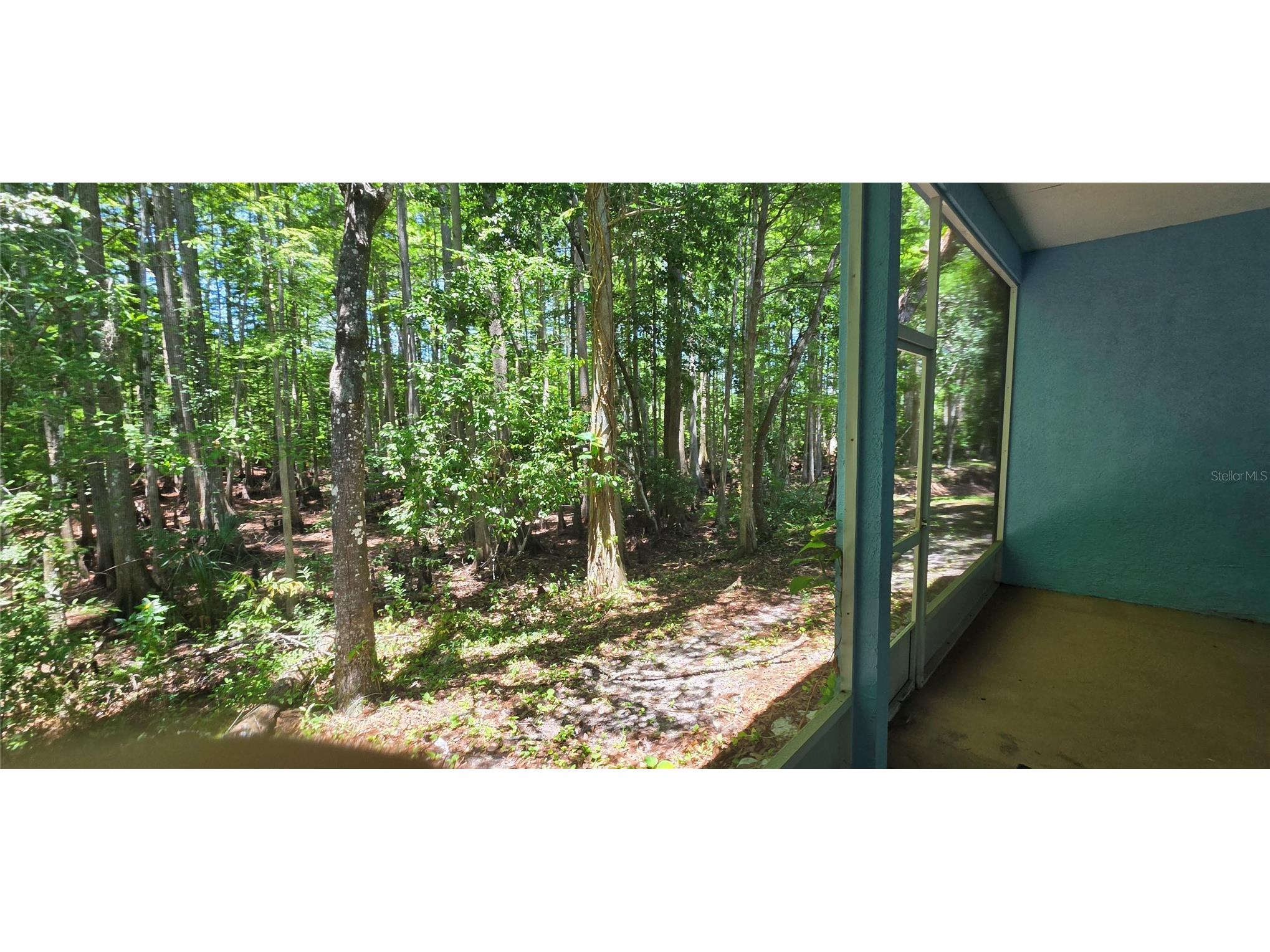 12519 Hollybrook Lane Hudson FL 34669 W7886505 image11