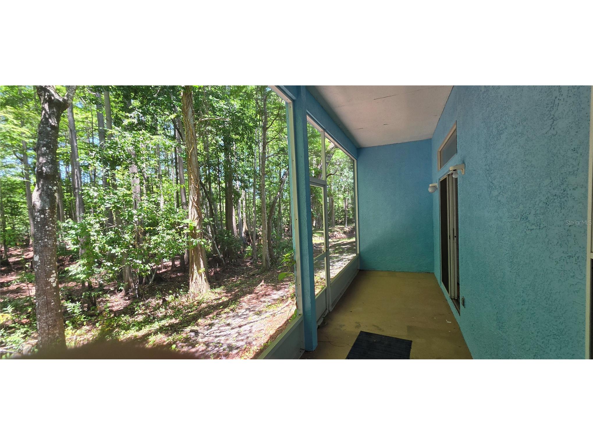 12519 Hollybrook Lane Hudson FL 34669 W7886505 image4