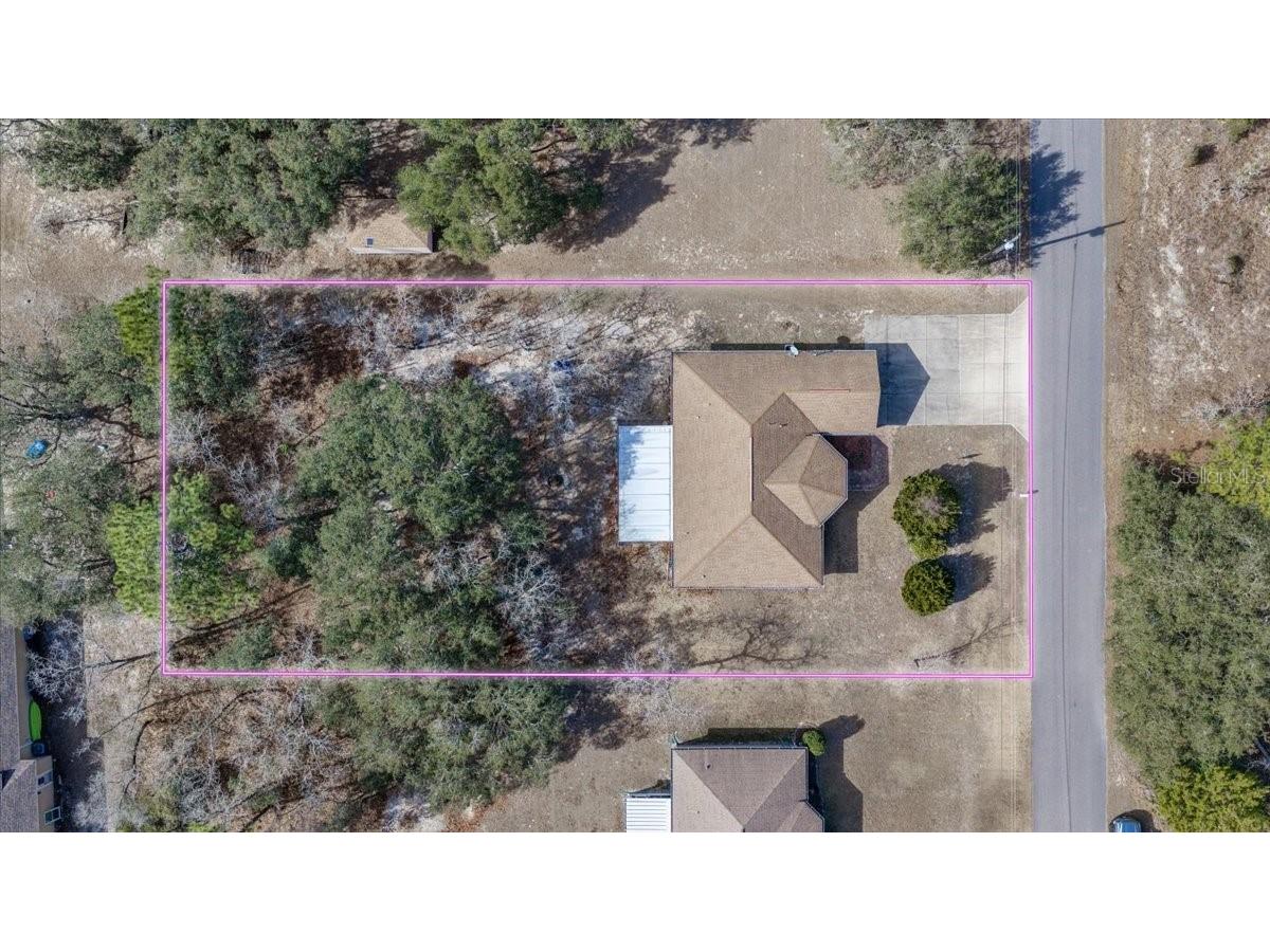 12519 Maleo Road Weeki Wachee FL 34614 TB8474497 image1