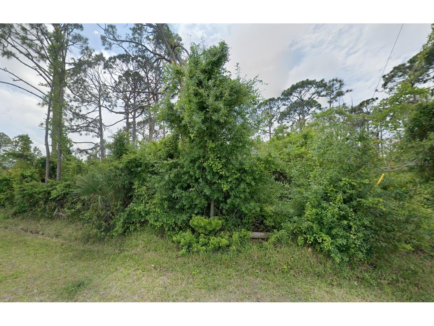 12519 Patsy Avenue Port Charlotte FL 33981 D6147080 image3