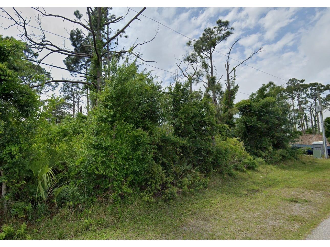 12519 Patsy Avenue Port Charlotte FL 33981 D6147080 image4
