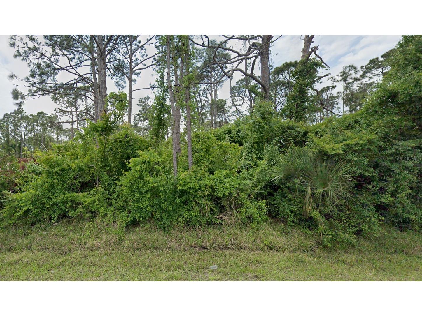 12519 Patsy Avenue Port Charlotte FL 33981 D6147080 image6