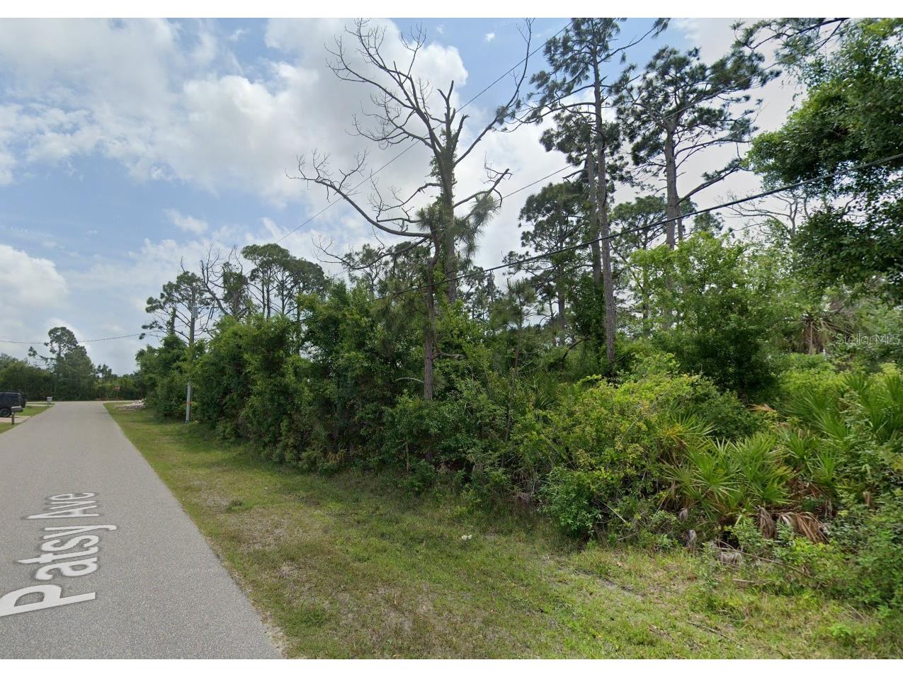 12519 Patsy Avenue Port Charlotte FL 33981 D6147080 image8
