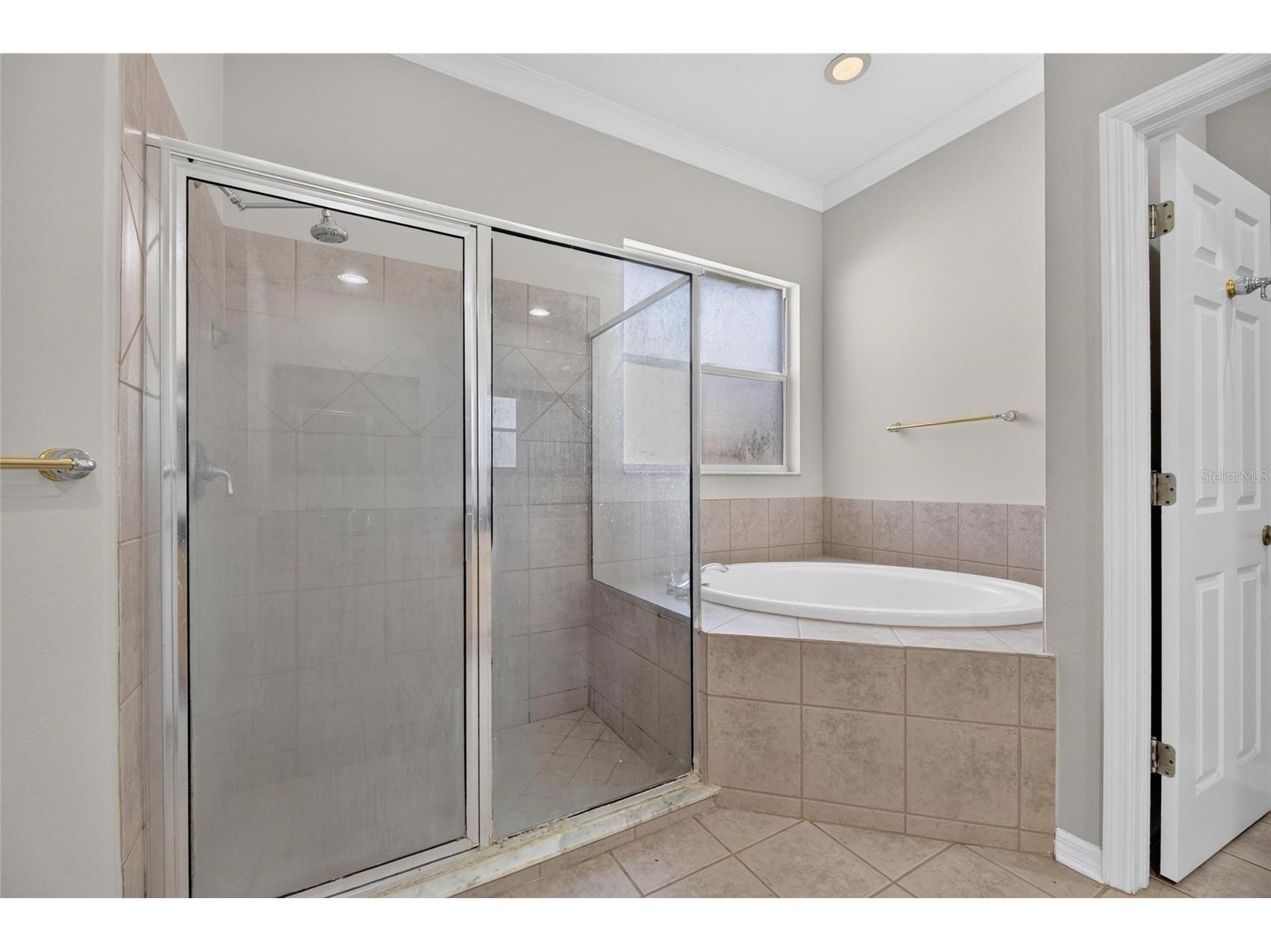 12519 River Birch Drive Riverview FL 33569 TB8526893 image24