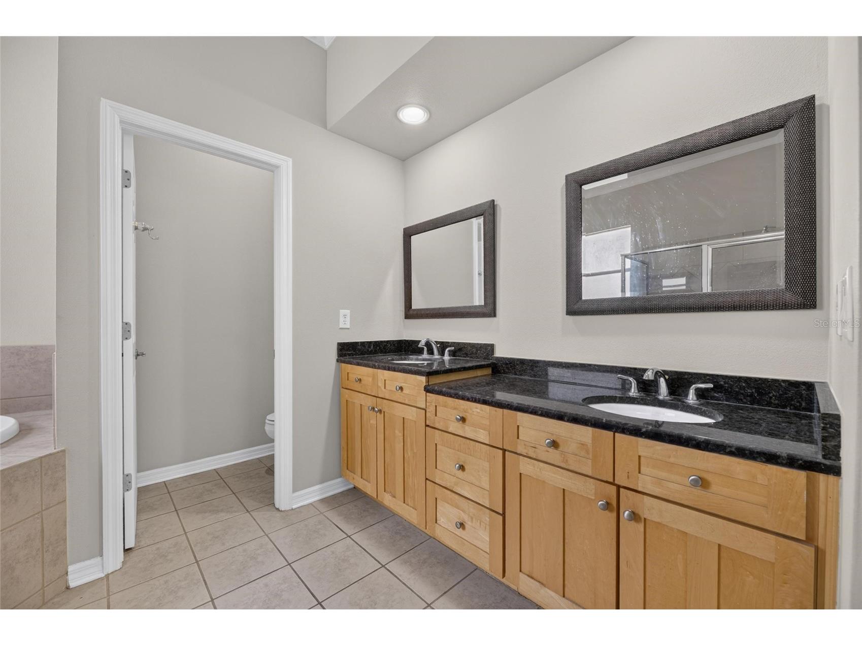 12519 River Birch Drive Riverview FL 33569 TB8526893 image25