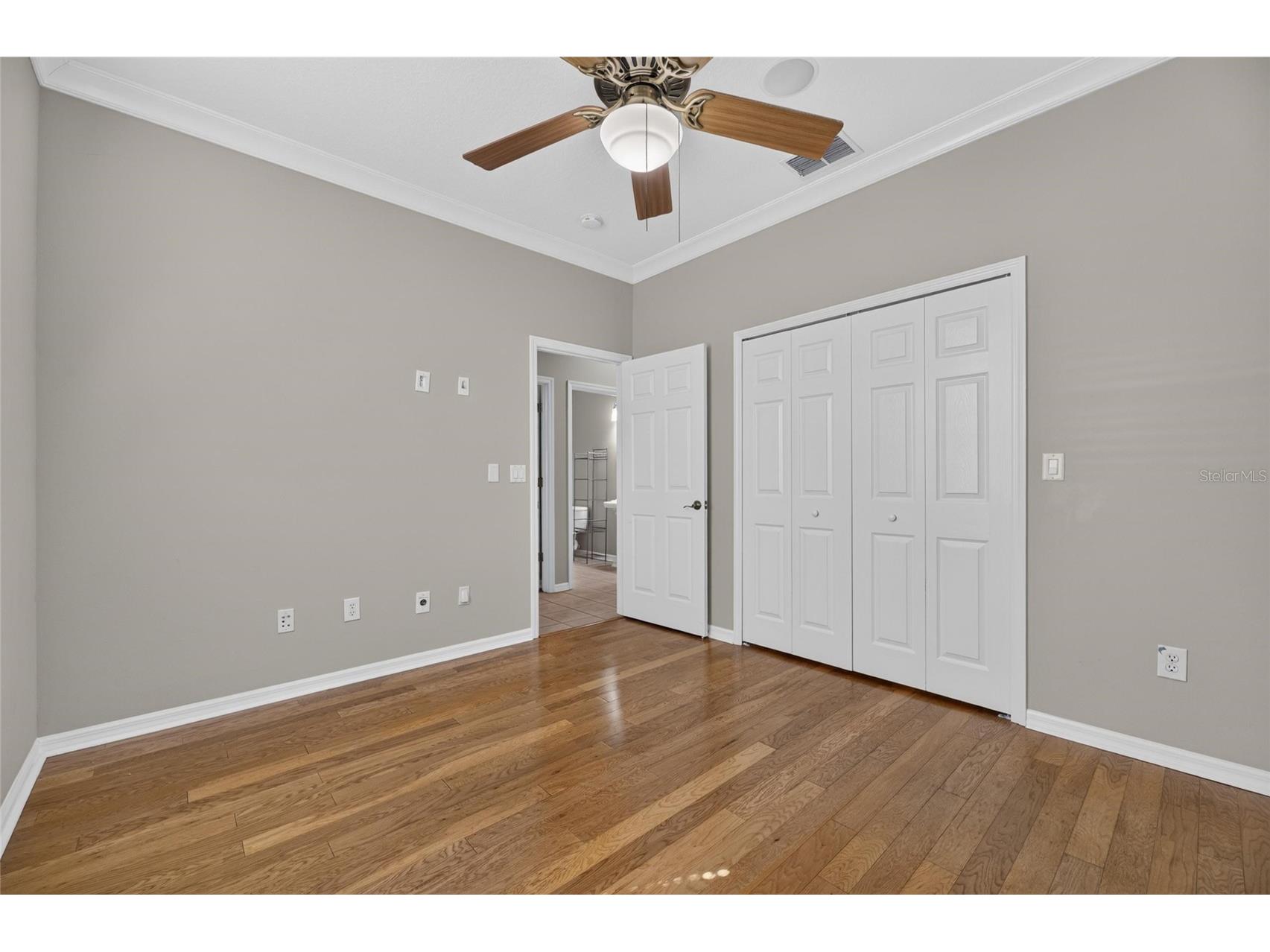 12519 River Birch Drive Riverview FL 33569 TB8526893 image31