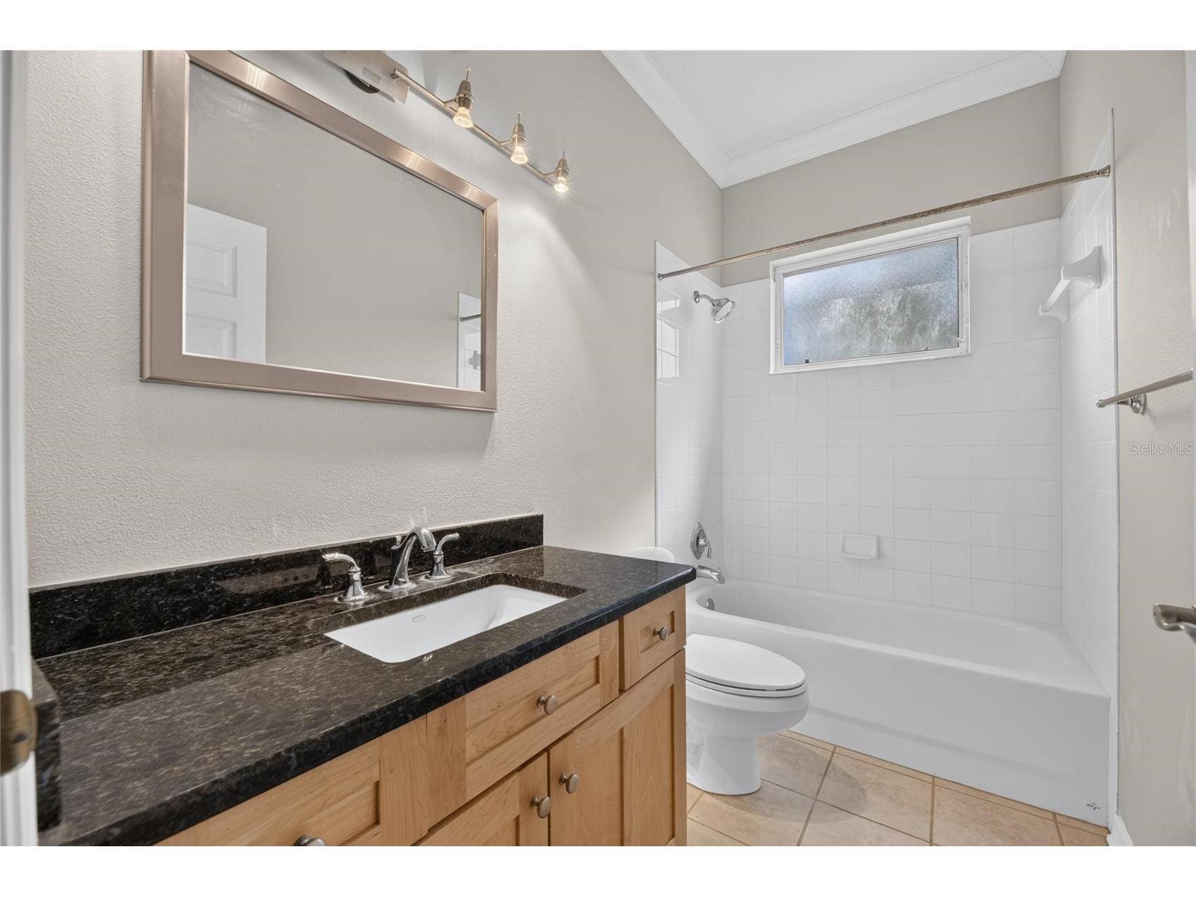12519 River Birch Drive Riverview FL 33569 TB8526893 image34