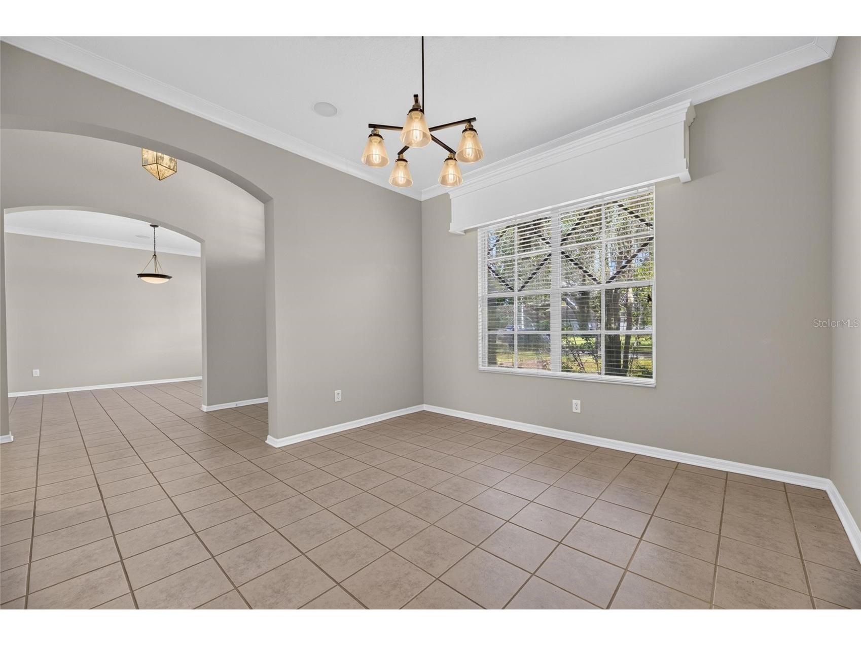 12519 River Birch Drive Riverview FL 33569 TB8526893 image9