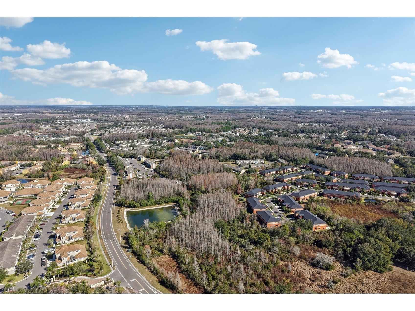 1252 Beckenham Way Wesley Chapel FL 33543 TB8468782 image26