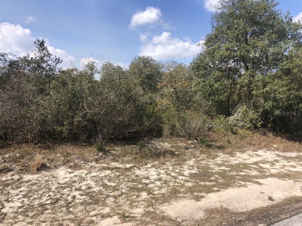 1252 Caribbean Drive Poinciana FL 34759 P4919321 image1